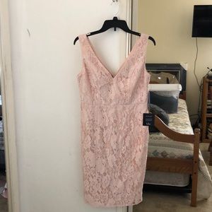 Blush pink lulus dress